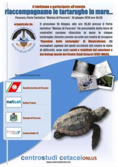 Sea Turtle Release Event - Pescara, 10th of June 2014 at 4.30 pm