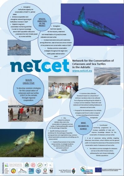 Presentation of the NETCET poster at the 5th Meeting of parties of ACCOBAMS