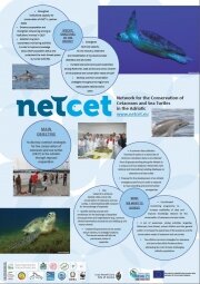 Presentation of the NETCET poster at the 5th Meeting of parties of ACCOBAMS