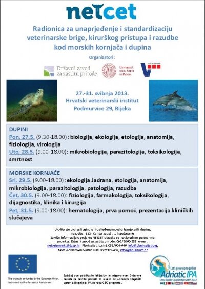 The course "Improvement and standardization of the veterinary care for cetaceans and sea turtles" in Rijeka