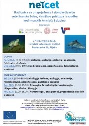The course "Improvement and standardization of the veterinary care for cetaceans and sea turtles" in Rijeka