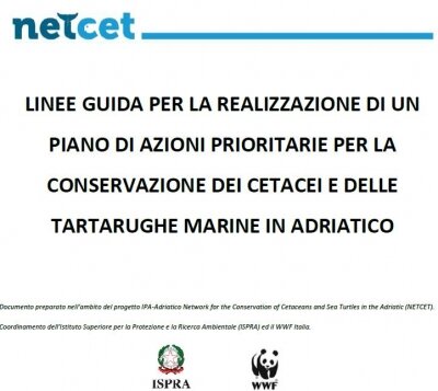 Consultazione Pubblica On-Line : LINEE GUIDA PER LA REALIZZAZIONE DI UN PIANO DI AZIONE PER LA TUTELA DEI CETACEI E DELLE TARTARUGHE MARINE IN ADRIATICO