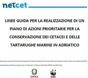 Consultazione Pubblica On-Line : LINEE GUIDA PER LA REALIZZAZIONE DI UN PIANO DI AZIONE PER LA TUTELA DEI CETACEI E DELLE TARTARUGHE MARINE IN ADRIATICO