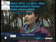 A video on the HTV1 concerning the developing Marine turtle rescue centre on Losinj island