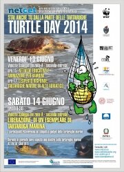 TUTTI A VENEZIA PER IL TURTLE DAY