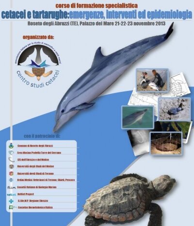 Specialized Training Course on “Cetaceans and Sea Turtles: emergencies, interventions and epidemiology” – Roseto degli Abruzzi (Italy)
