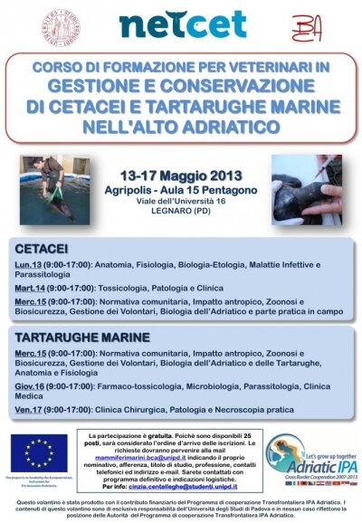 The course "Management and conservation of Cetaceans and Sea Turtles, in the Northern Adriatic Sea"