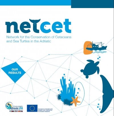 NETCET - final brochure - our results